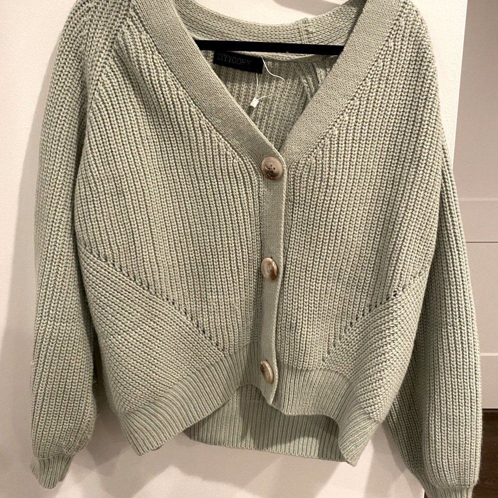 Mint green button down sweater